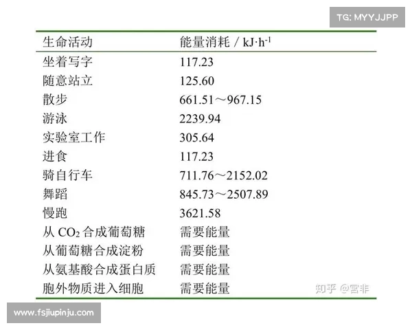 atp积分榜 atp积分榜