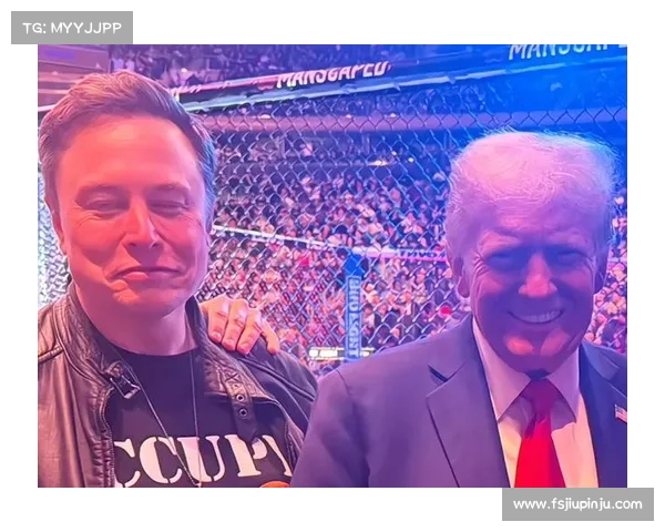 ufc229赛事-ufc229期比赛视频